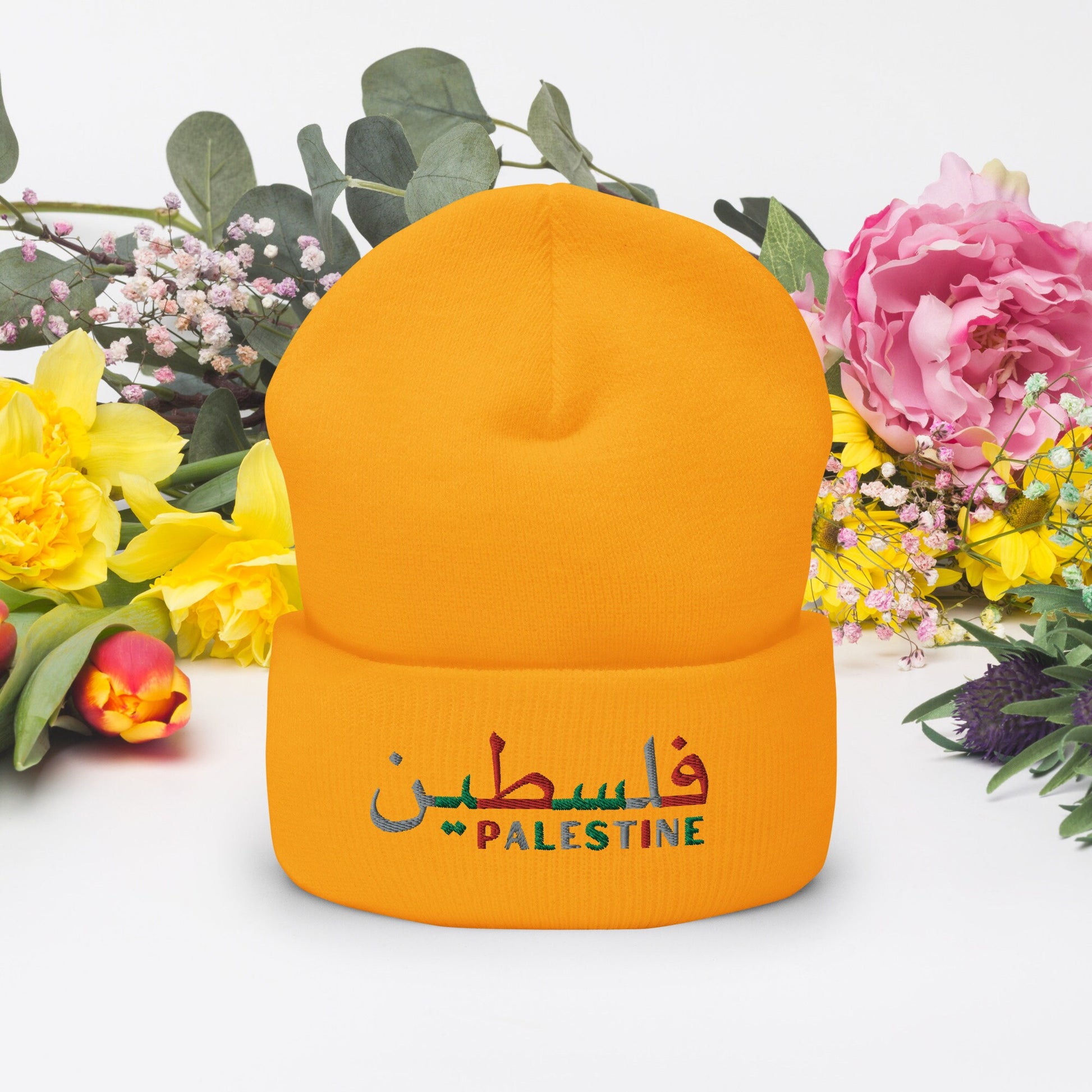 Embroidered Palestine Cuffed Beanie, Gaza Spport Hat